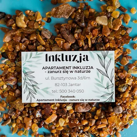 Inkluzja * Jantar